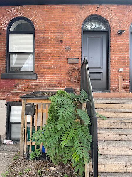 Hamilton 1 bedroom Apartment for rent. Property photo: 538985-2