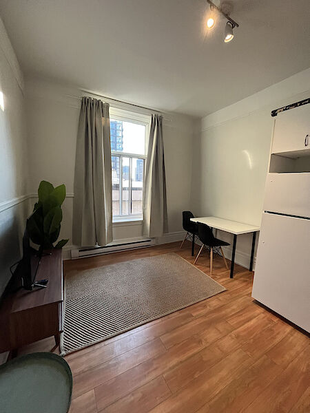 Montréal 1 bedroom Apartment for rent. Property photo: 539111-2