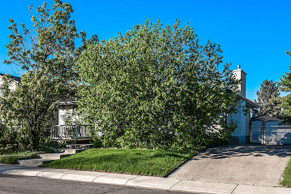 Calgary 3 bedrooms Main Floor for rent. Property photo: 54535-2