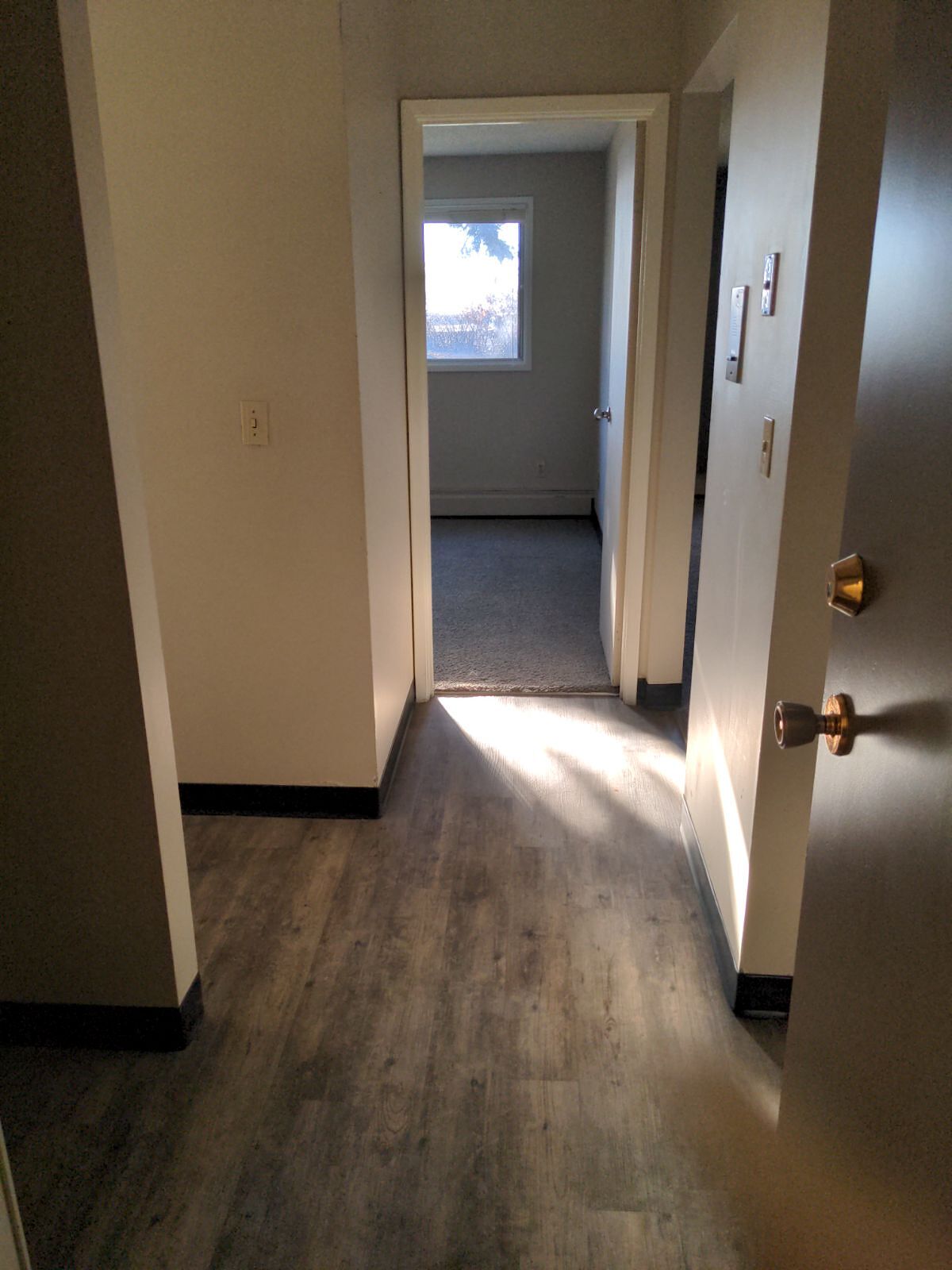 Calgary Pet Friendly Apartment For Rent | Albert Park | 1 & 2 bedrooms ...