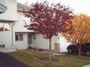 Calgary 2 bedrooms Townhouse for rent. Property photo: 562-2