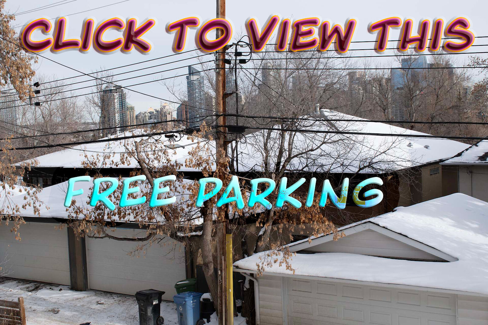 Calgary Pet Friendly Apartment For Rent Bankview FREE PARKING