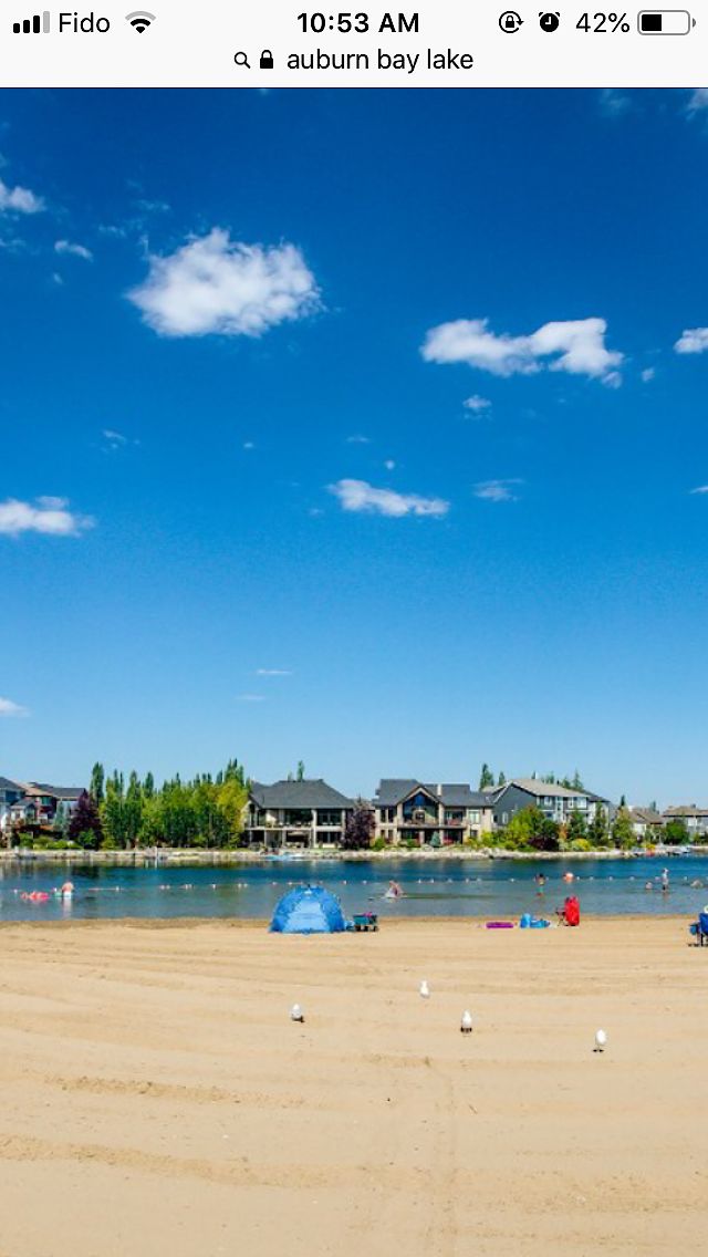 Calgary 2 bedrooms Shared for rent. Property photo: 98600-1